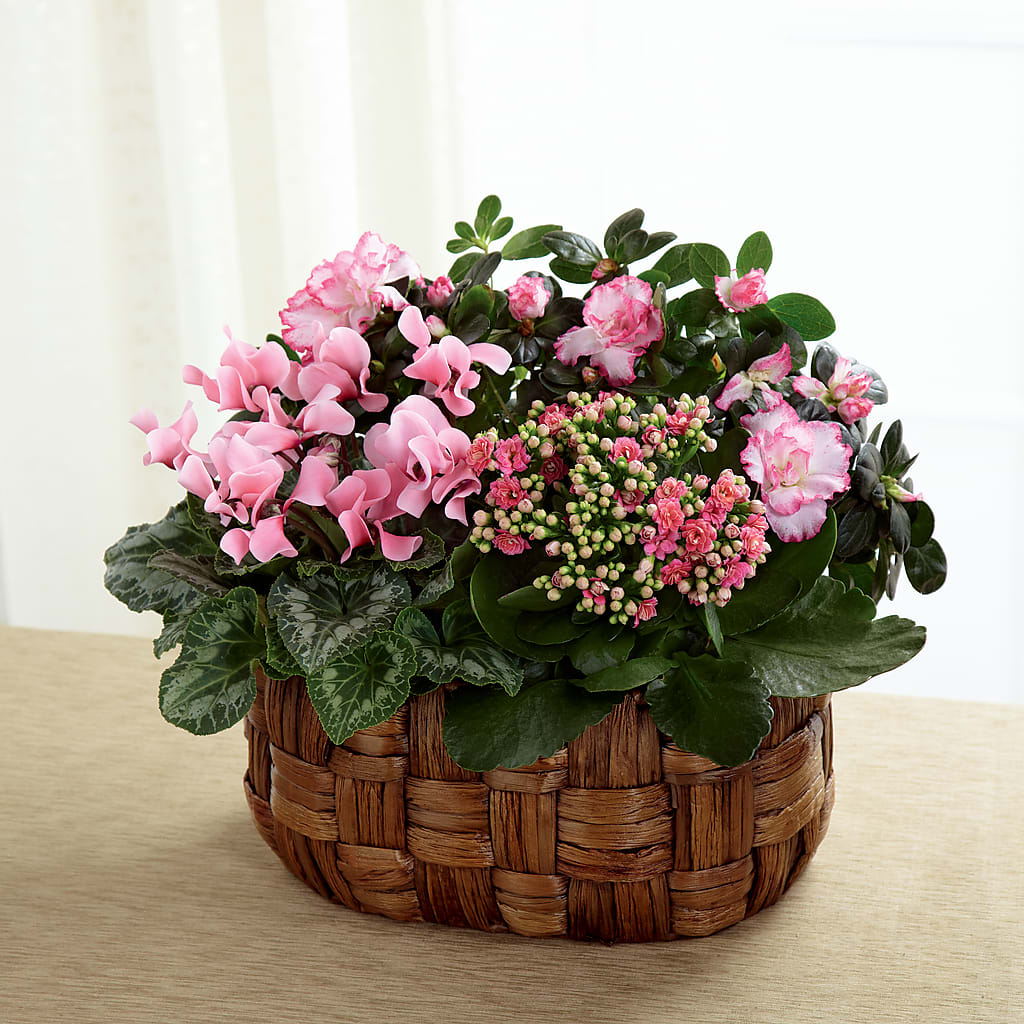 Pink Assortment – R & J BLOOMS, Rowlett TX