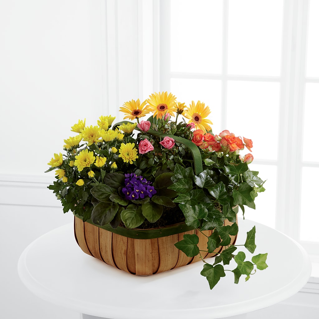Gentle Blossoms Basket – R & J BLOOMS, Rowlett TX