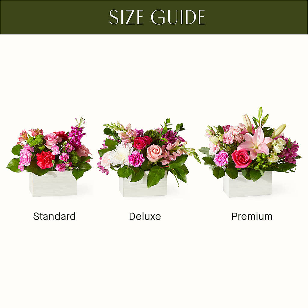 Sweetberry Box – A Florist Original – R & J BLOOMS, Rowlett TX