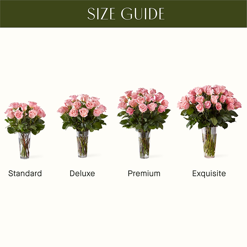 Long Stem Pink Rose Bouquet – R & J BLOOMS, Rowlett TX