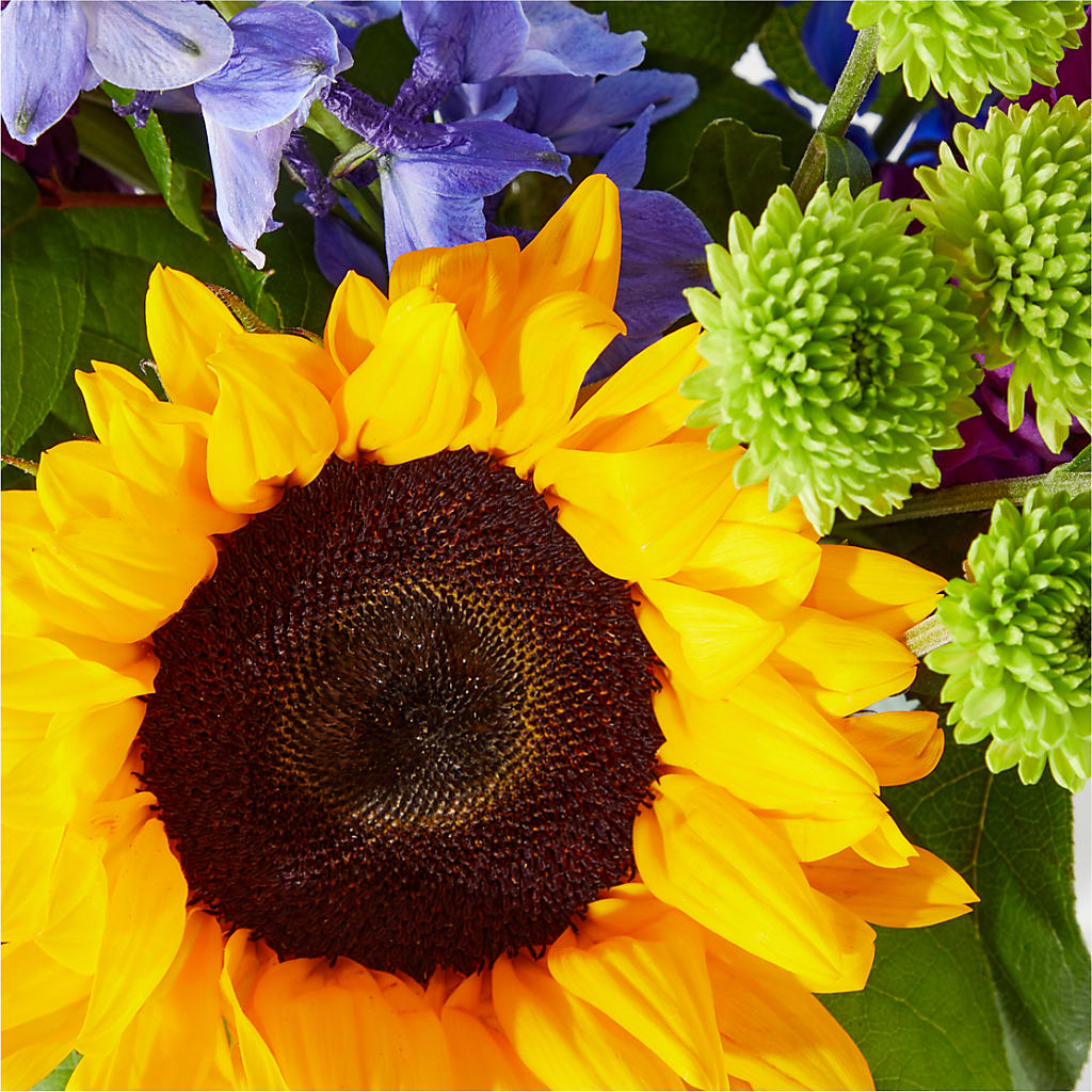 Catching Rays Bouquet – R & J BLOOMS, Rowlett TX