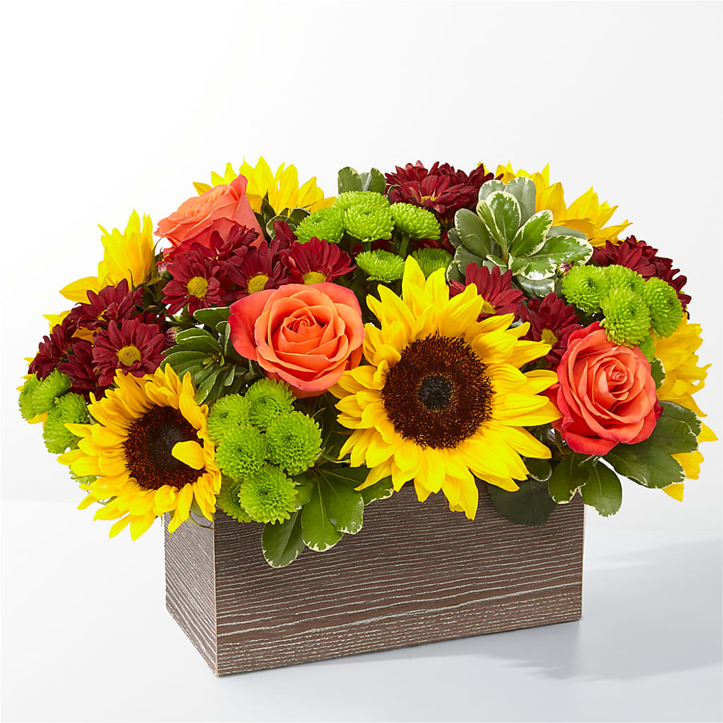 Happy Harvest Garden – R & J BLOOMS, Rowlett TX