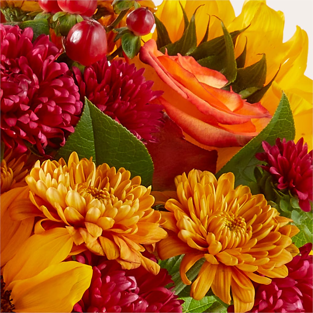 Sweater Season - A Florist Original – R & J BLOOMS, Rowlett TX