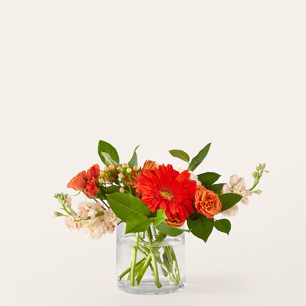 Paloma Please Bouquet – R & J BLOOMS, Rowlett TX