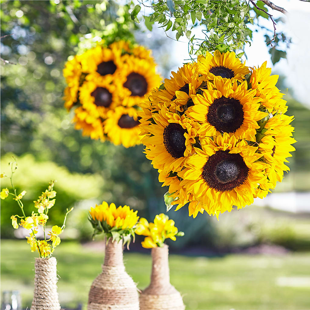 Sublime Garden Hanging Arrangement – R & J BLOOMS, Rowlett TX