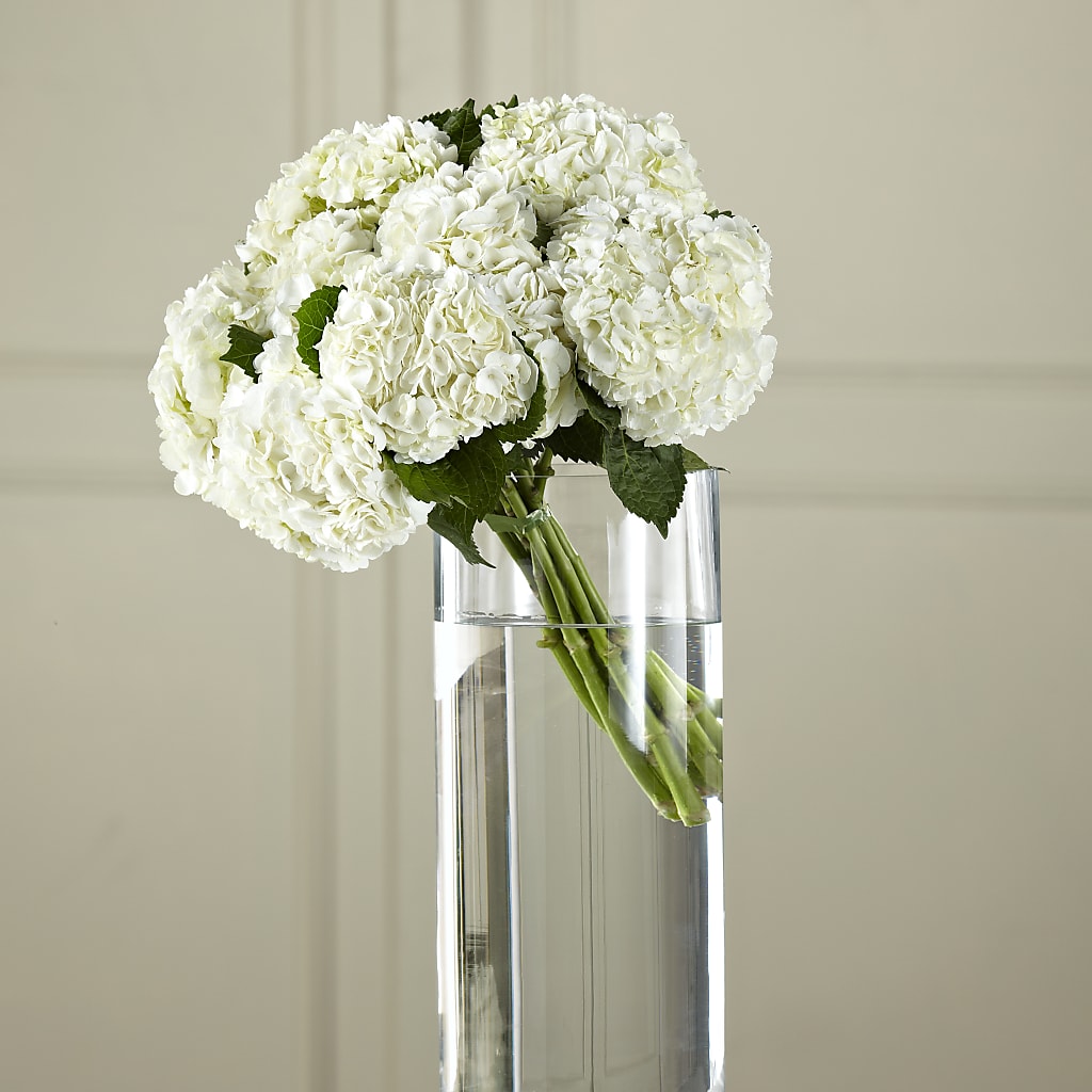 White Hydrangea Hand-Tied Bouquet – R & J BLOOMS, Rowlett TX