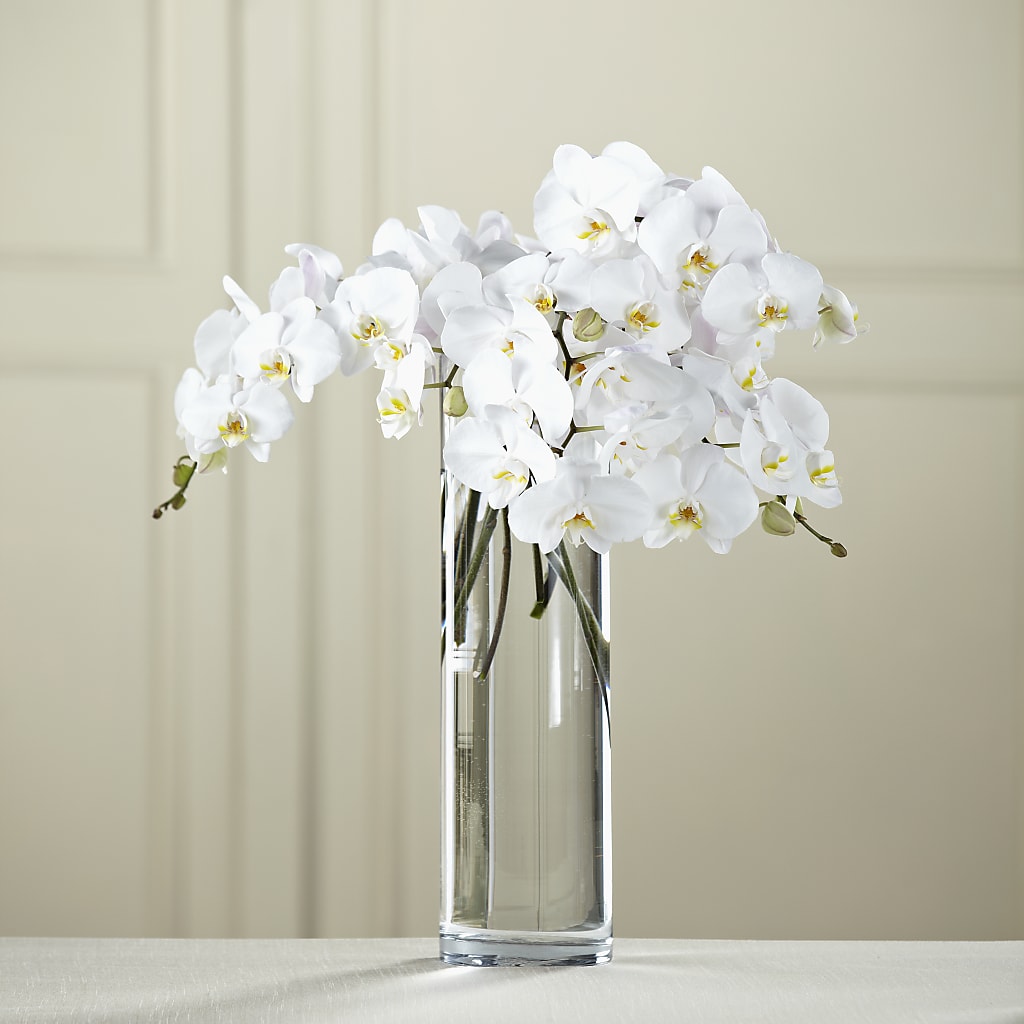 White Phalaenopsis Bouquet – R & J BLOOMS, Rowlett TX