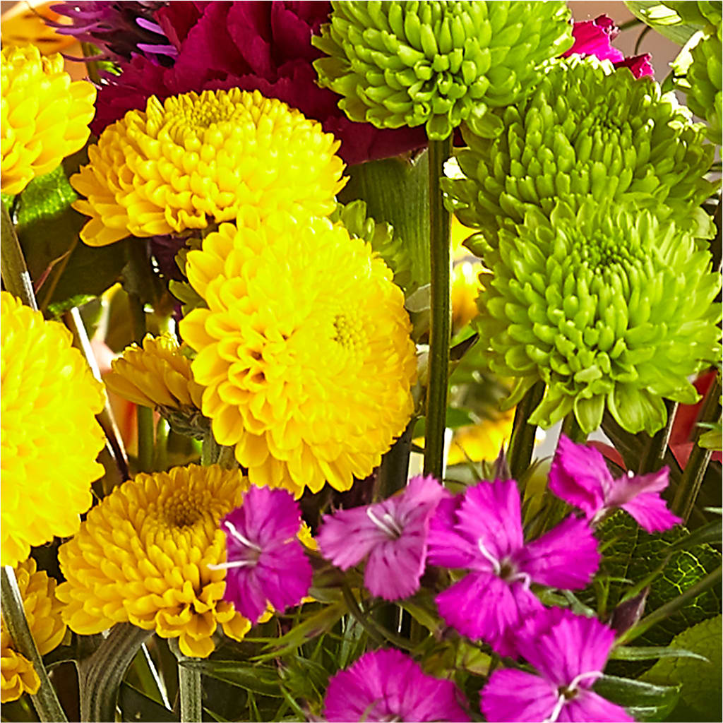 Bold & Bright – A Florist Original – R & J BLOOMS, Rowlett TX
