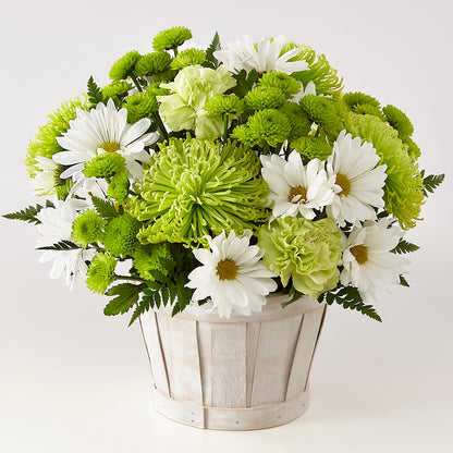 Lucky Charm Basket (Standard) – R & J BLOOMS, Rowlett TX