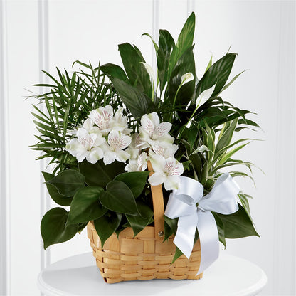 Peace & Serenity Dishgarden – R & J BLOOMS, Rowlett TX