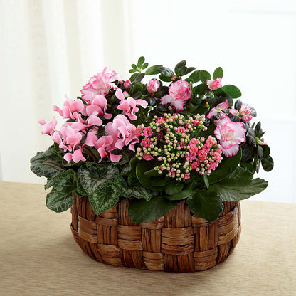 Pink Assortment – R & J BLOOMS, Rowlett TX