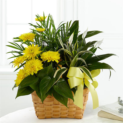 Loving Light Dishgarden – R & J BLOOMS, Rowlett TX