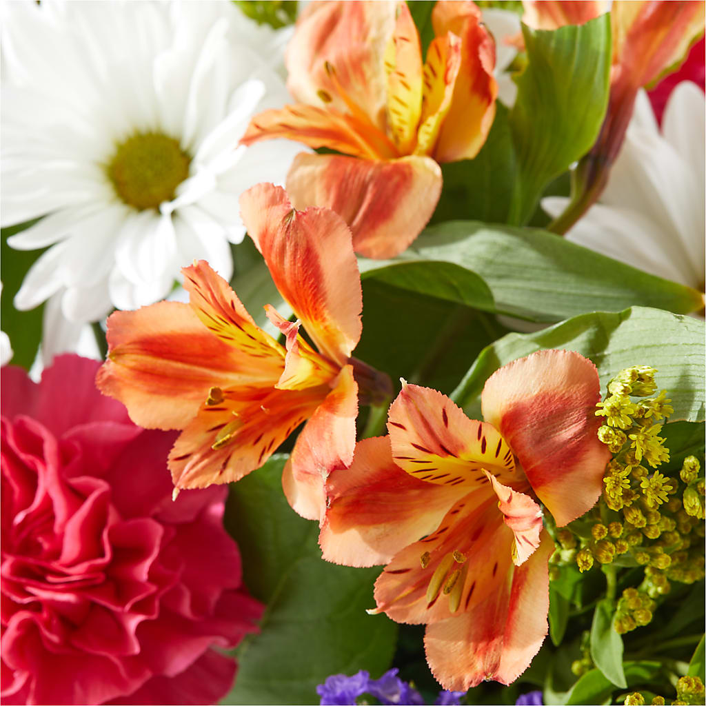 Oopsie Daisy Box Bouquet – R & J BLOOMS, Rowlett TX