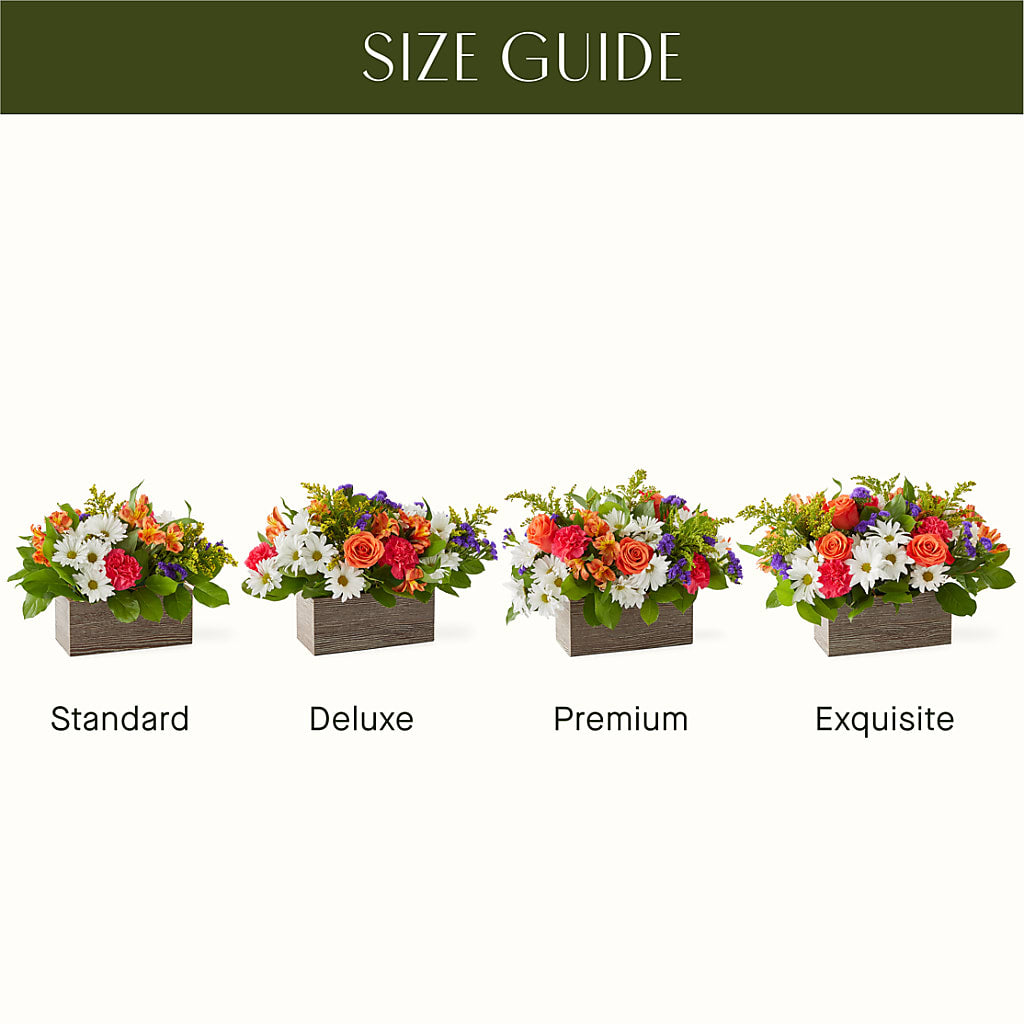 Oopsie Daisy Box Bouquet – R & J BLOOMS, Rowlett TX