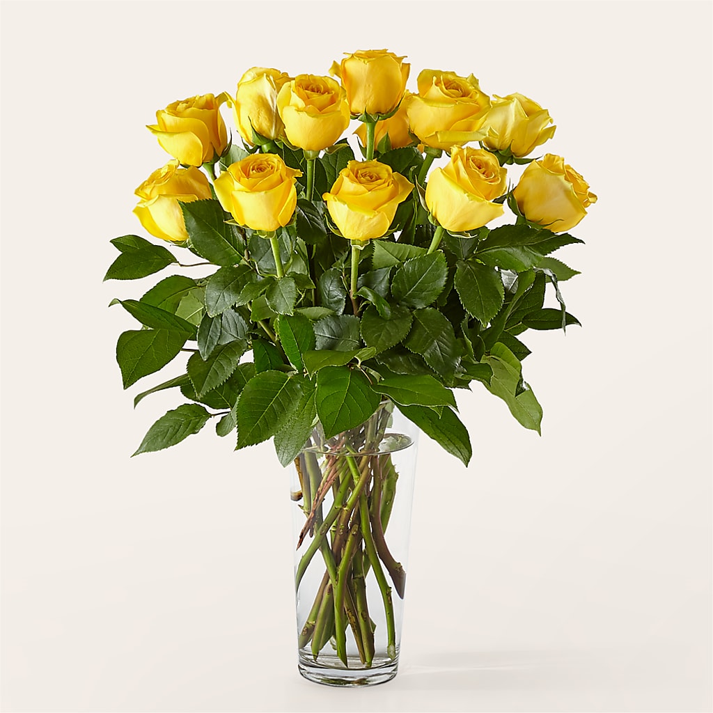 Long Stem Yellow Rose Bouquet – R & J BLOOMS, Rowlett TX