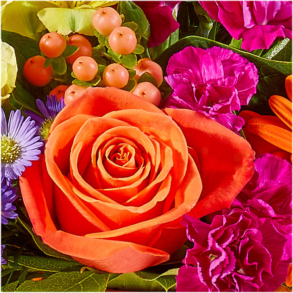 Tricks & Treats Pumpkin – R & J BLOOMS, Rowlett TX