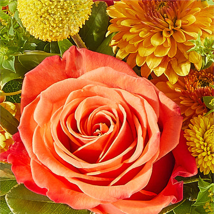 Gourdgeous Pumpkin – R & J BLOOMS, Rowlett TX