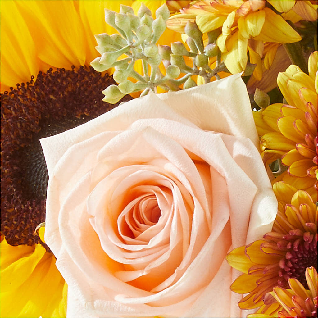 Pumpkin to Talk About Bouquet – R & J BLOOMS, Rowlett TX