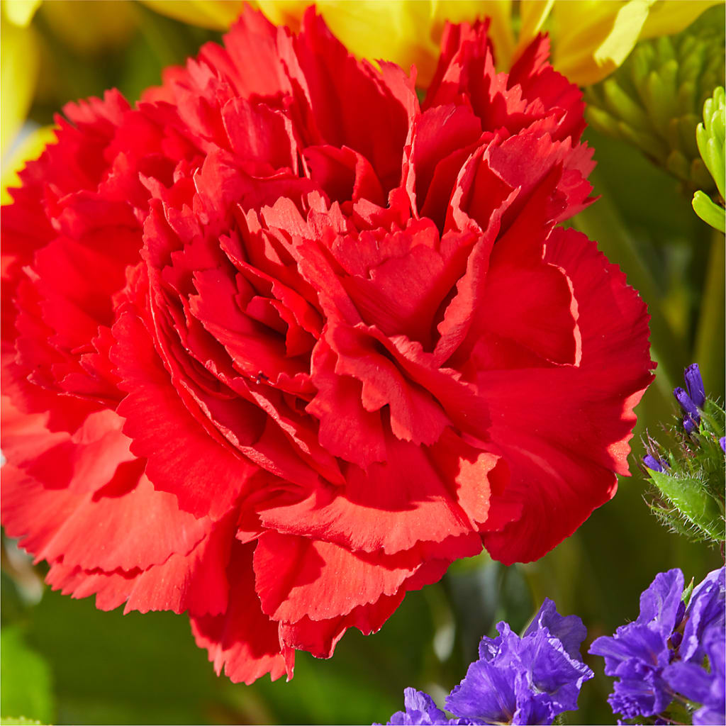 Brighter Days Bouquet – R & J BLOOMS, Rowlett TX