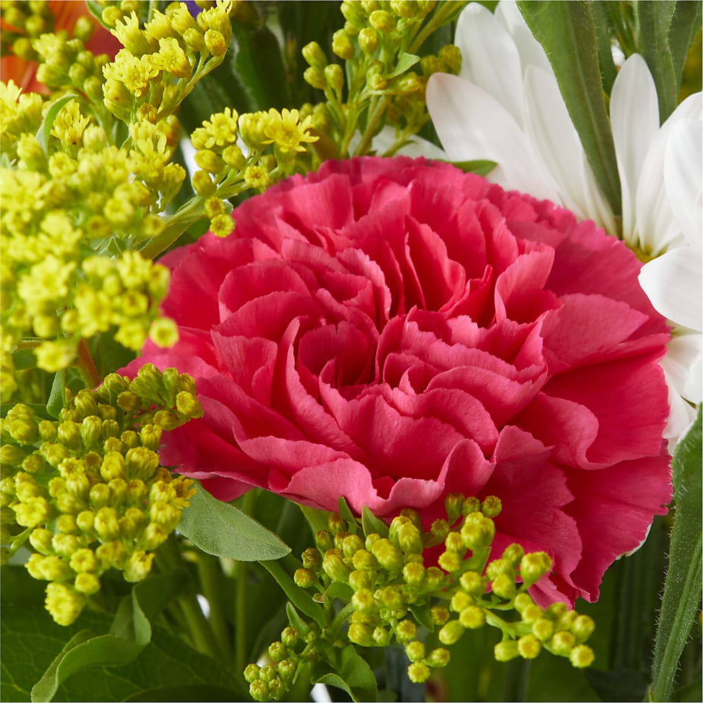 Oopsie Daisy Bouquet – R & J BLOOMS, Rowlett TX