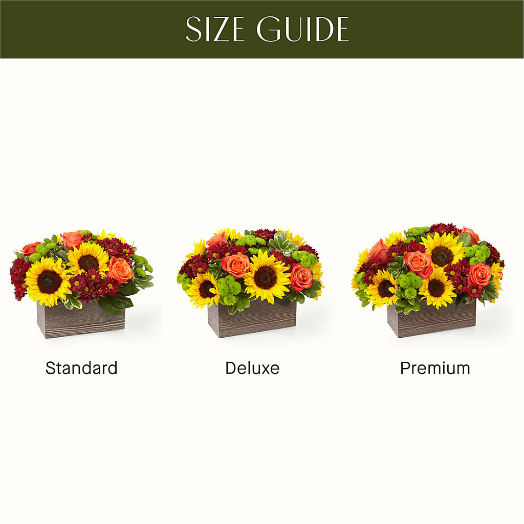 Happy Harvest Garden – R & J BLOOMS, Rowlett TX