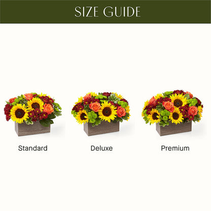 Happy Harvest Garden – R & J BLOOMS, Rowlett TX