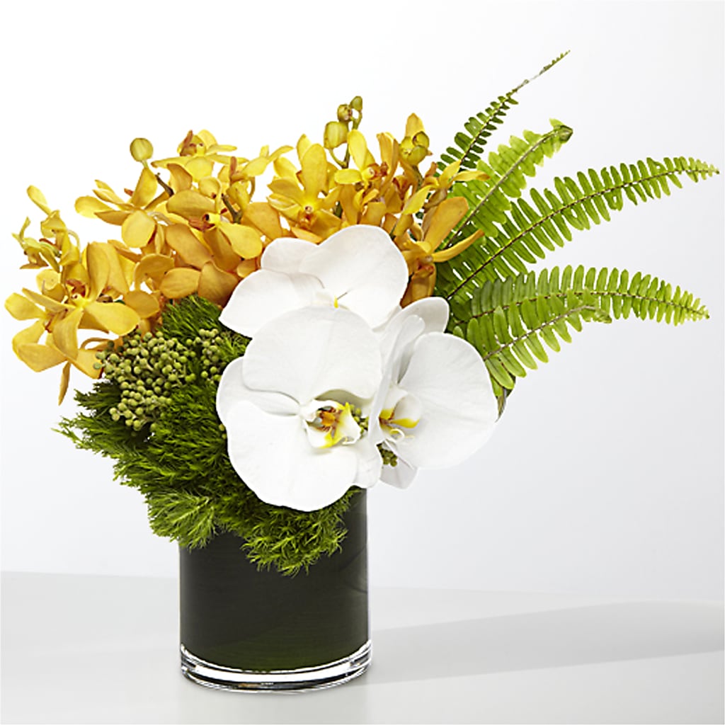 The Tropics – R & J BLOOMS, Rowlett TX