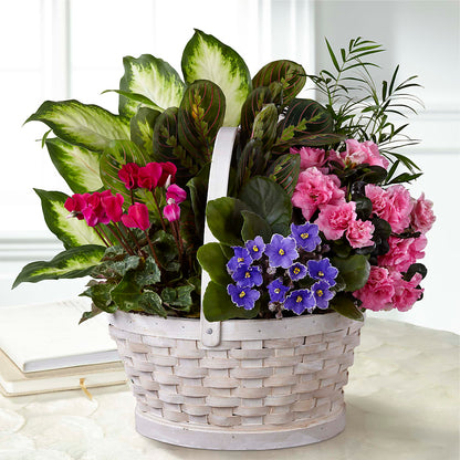 Peaceful Garden Planter – R & J BLOOMS, Rowlett TX