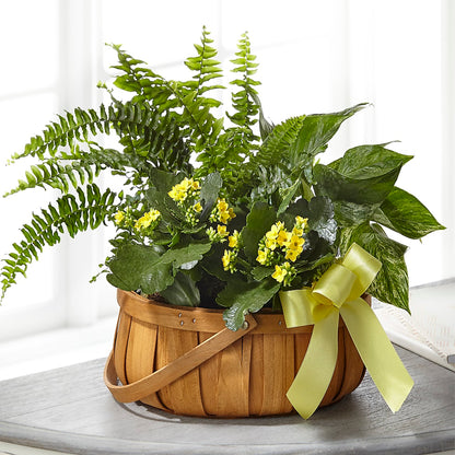 Always Dear Dishgarden – R & J BLOOMS, Rowlett TX