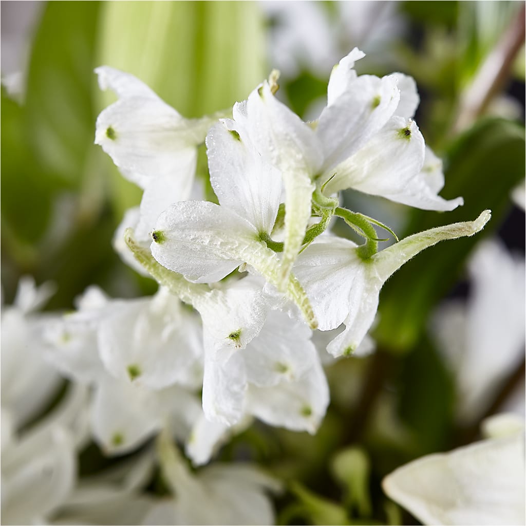 Classic Ivory – A Florist Original – R & J BLOOMS, Rowlett TX