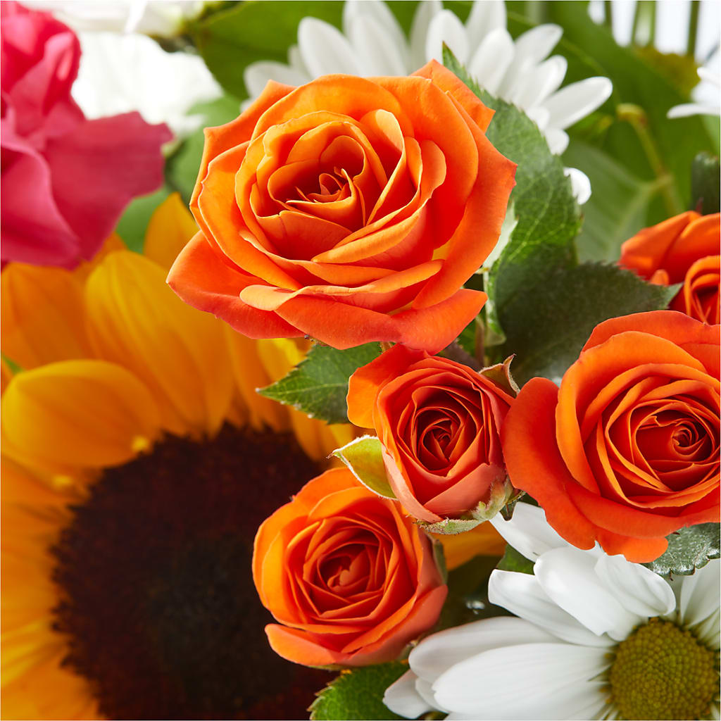 Sun-drenched Blooms Bouquet – R & J BLOOMS, Rowlett TX
