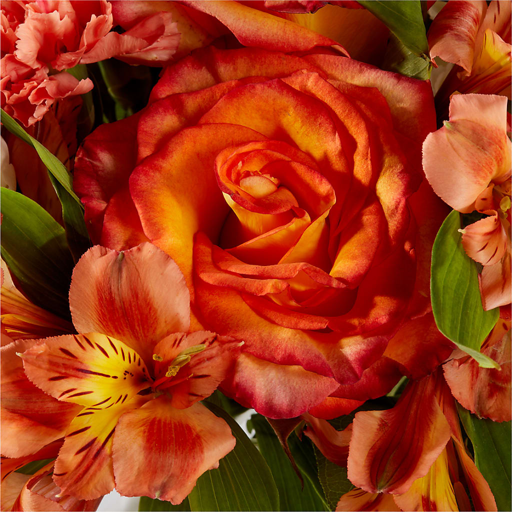 Apricot Glow Bouquet – R & J BLOOMS, Rowlett TX