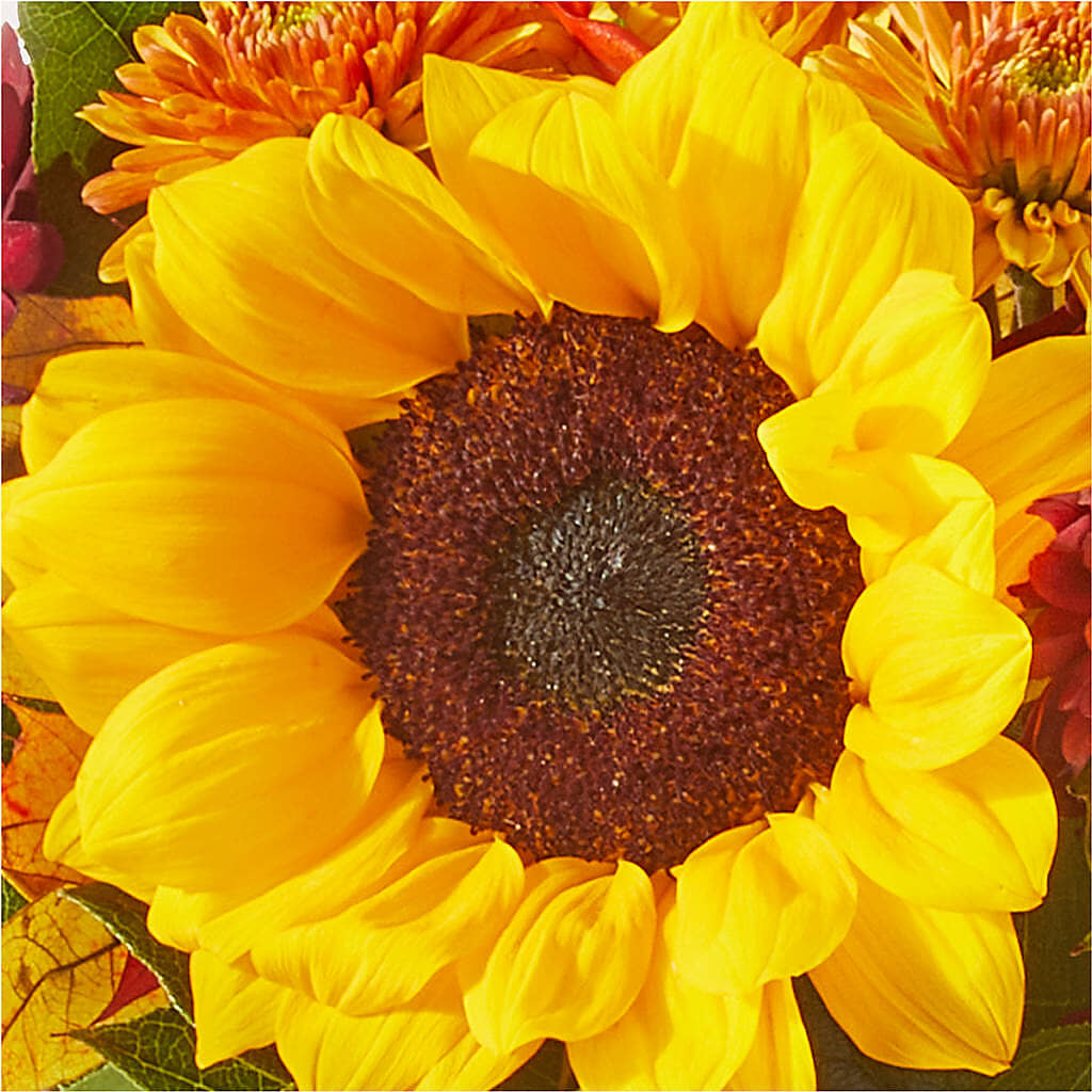 Sunny Side Bouquet – R & J BLOOMS, Rowlett TX