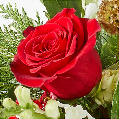 Deck the Halls Bouquet – R & J BLOOMS, Rowlett TX