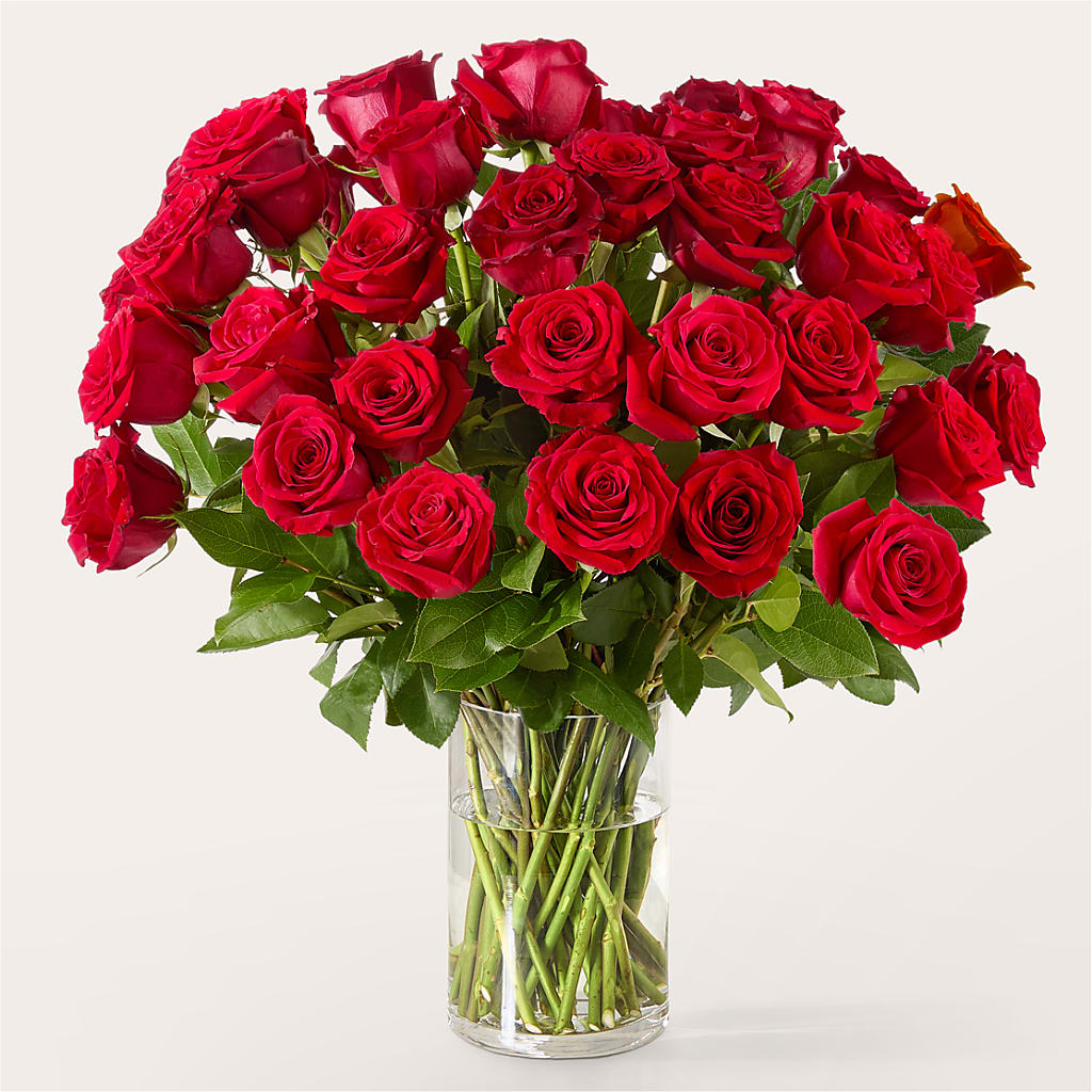 The One Red Rose Bouquet – R & J BLOOMS, Rowlett TX