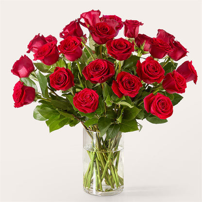 The One Red Rose Bouquet – R & J BLOOMS, Rowlett TX