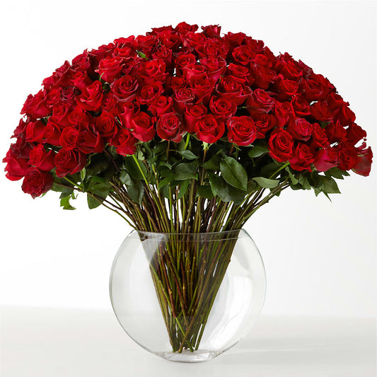 The Idealist – R & J BLOOMS, Rowlett TX