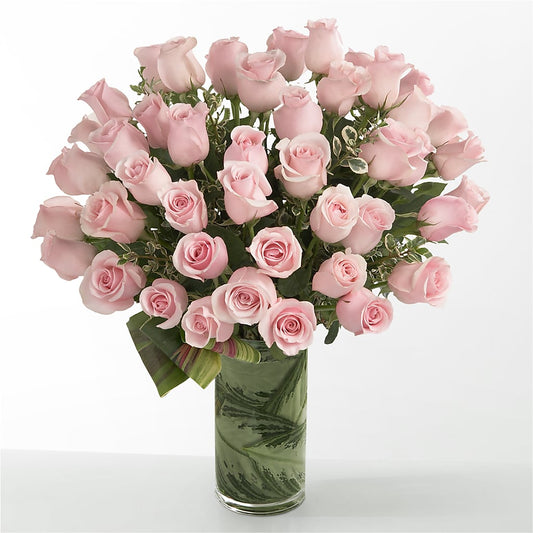 Pink Essence – R & J BLOOMS, Rowlett TX