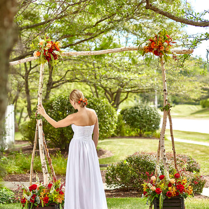 Arbor of Love Archway – R & J BLOOMS, Rowlett TX