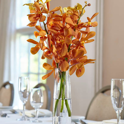 Orange Mokara Bud Vase – R & J BLOOMS, Rowlett TX