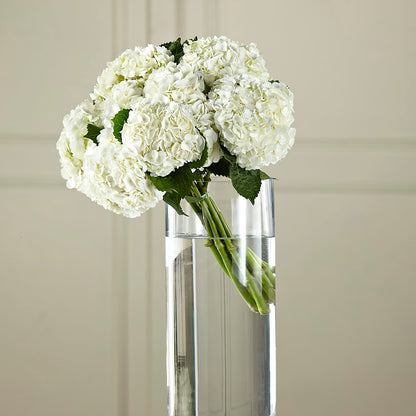 White Hydrangea Hand-Tied Bouquet – R & J BLOOMS, Rowlett TX