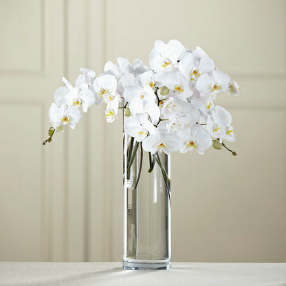 White Phalaenopsis Bouquet – R & J BLOOMS, Rowlett TX